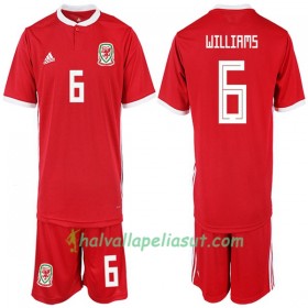 Jalkapallo Pelipaidat Wales WILLIAMS 6 Lasten Kotipaita 2018-2019 Lyhythihainen